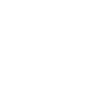 mrf-vit